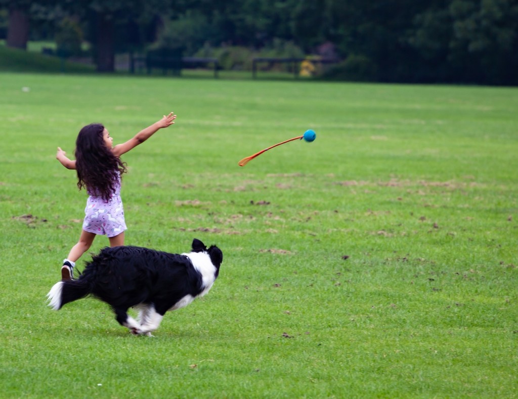 女の子が犬と遊ぶ